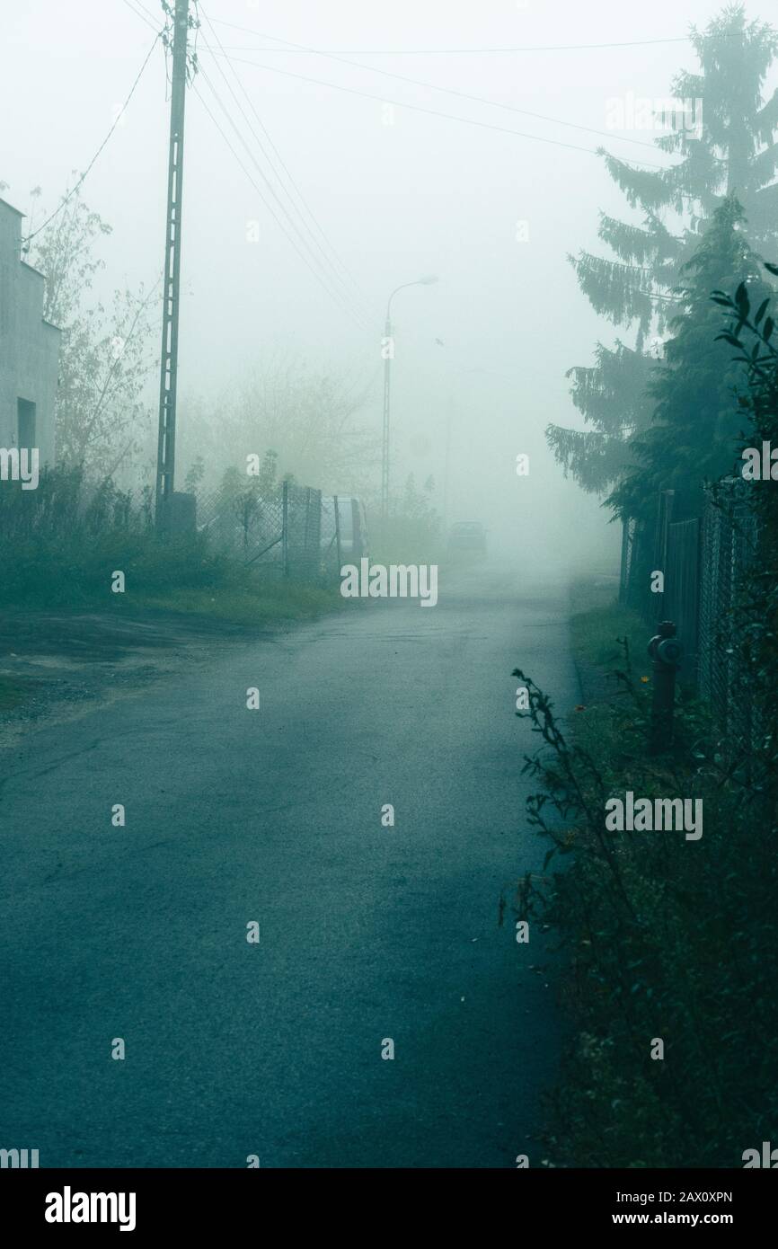 Empty foggy asphalt road with trees in the background Stock Photo - Alamy