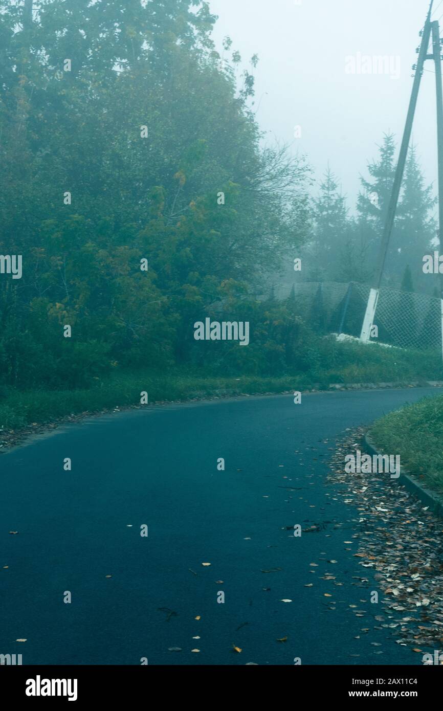 Empty foggy asphalt road with trees in the background Stock Photo - Alamy