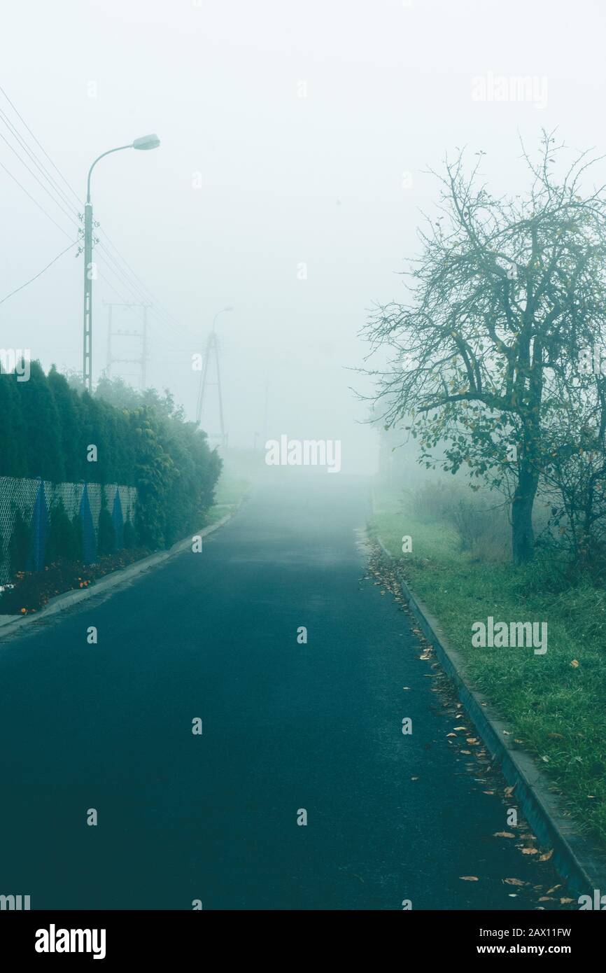 Empty foggy asphalt road with trees in the background Stock Photo - Alamy