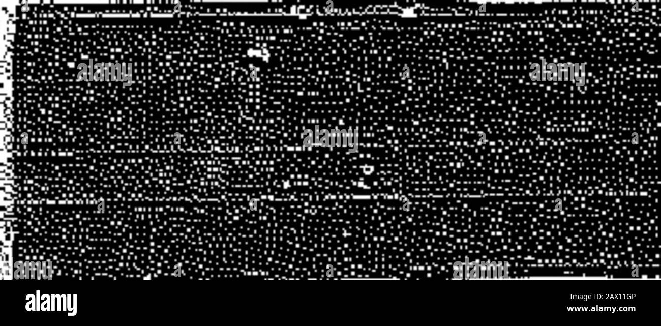 The War Cry Stock Photo Alamy