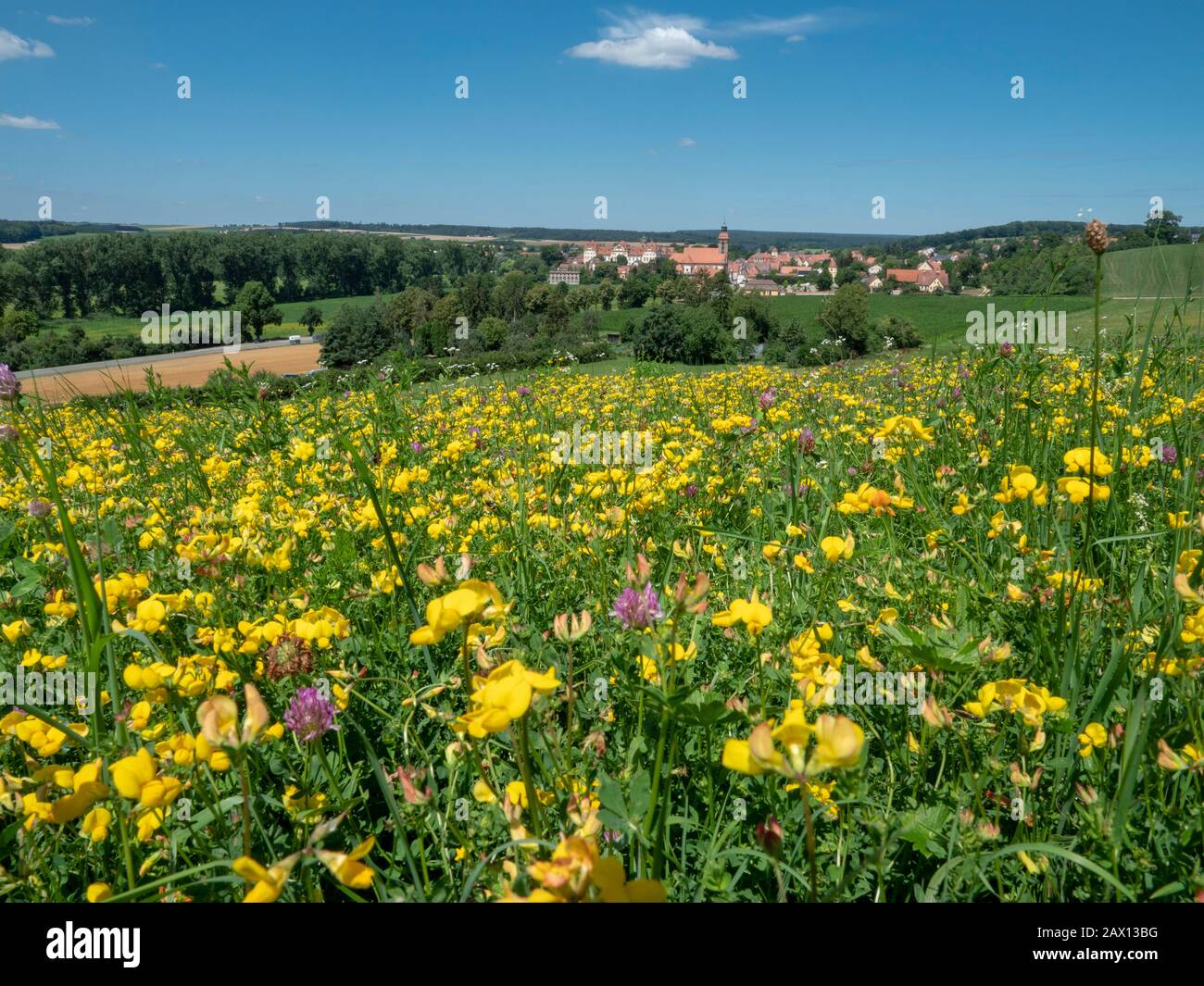 Blumenwiese, Schloss Ellingen im Hintergrund, Weißenburg, Franken, Bayern, Deutschland | wildflower meadow, Schloss Ellingen in background, Weißenburg Stock Photo