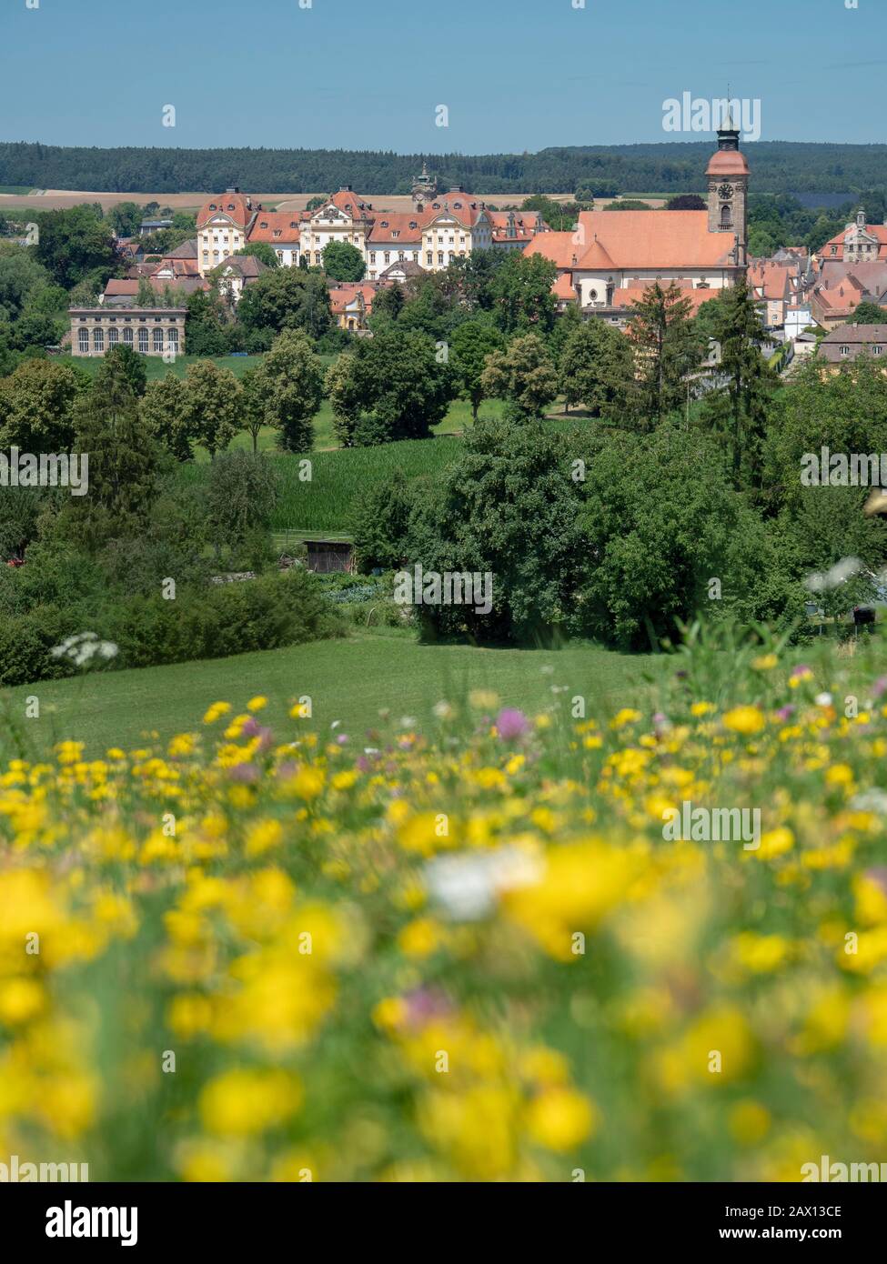 Schloss Ellingen, Weißenburg, Franken, Bayern, Deutschland | wildflower meadow, Schloss Ellingen , Weißenburg, Franconia, Bavaria, Germany Stock Photo