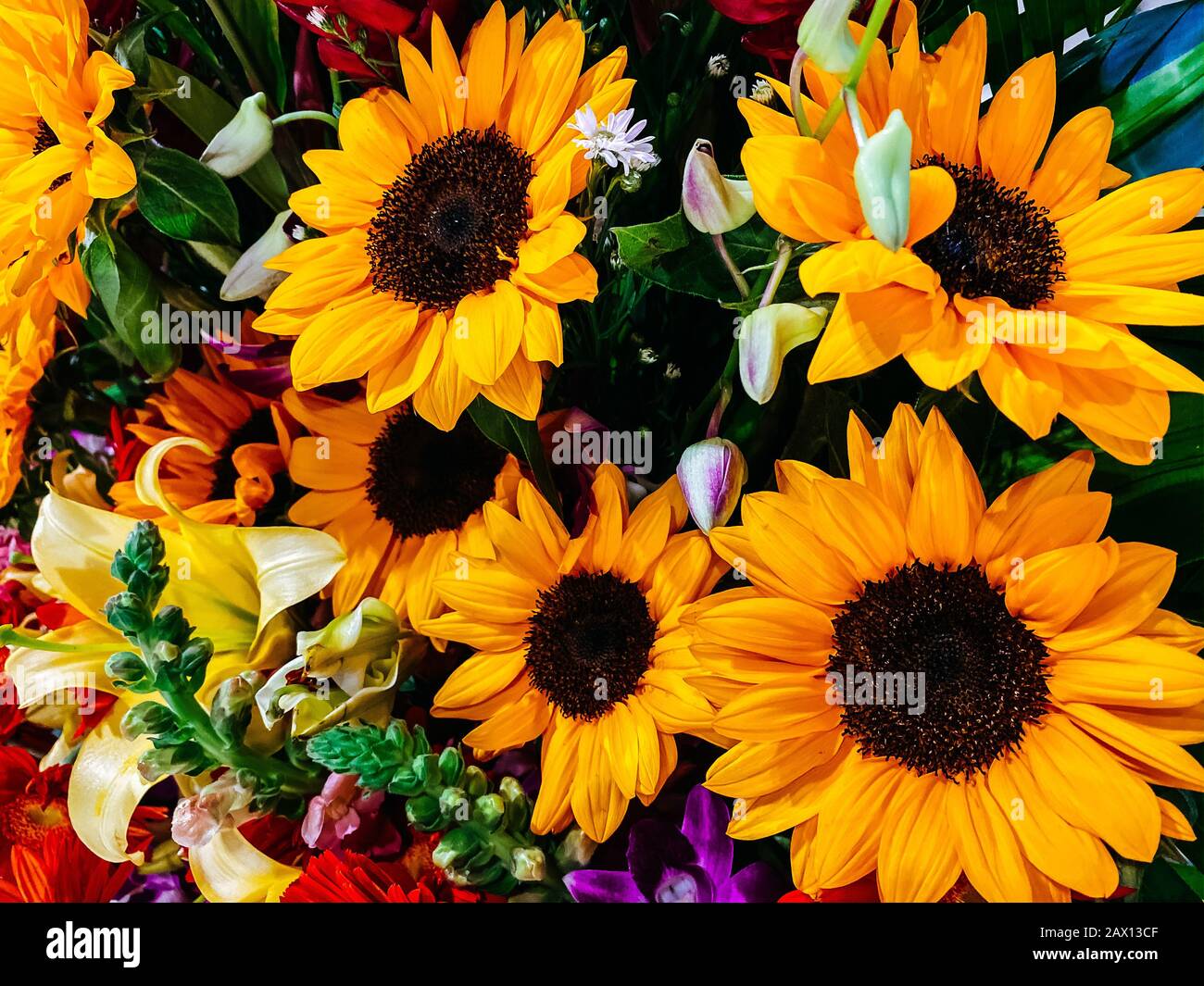 Red roses and yellow sunflowers bouquet hires stock photography and
