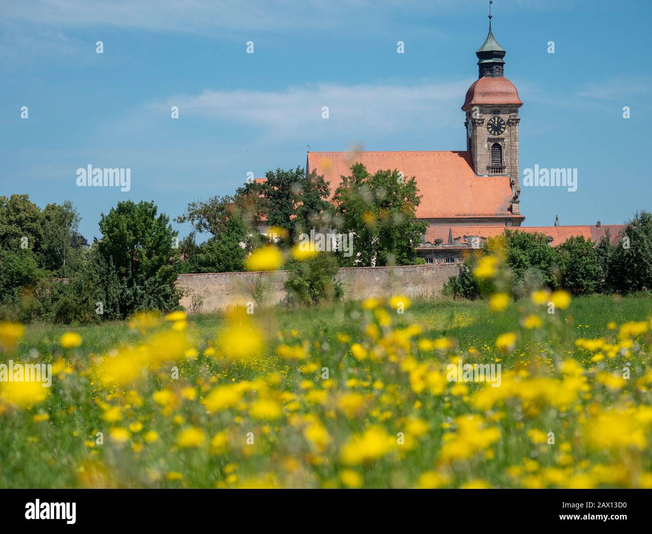 Ellingen, Kirche St. Georg, Weißenburg, Franken, Bayern, Deutschland | wildflower meadow, Ellingen, St. George Church, Weißenburg, Franconia, Bavaria, Stock Photo