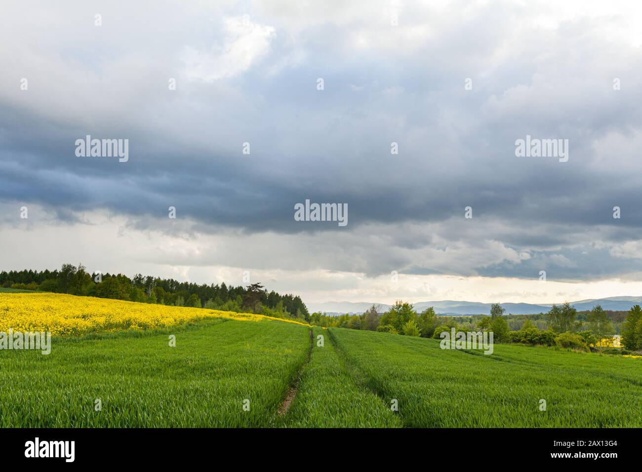 Agricultural Growth Various Fields Agriculture Farming Field Stock