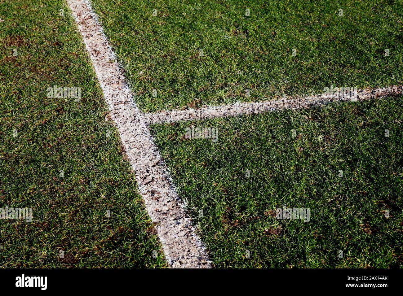 Football field with white lines Stock Photo Alamy