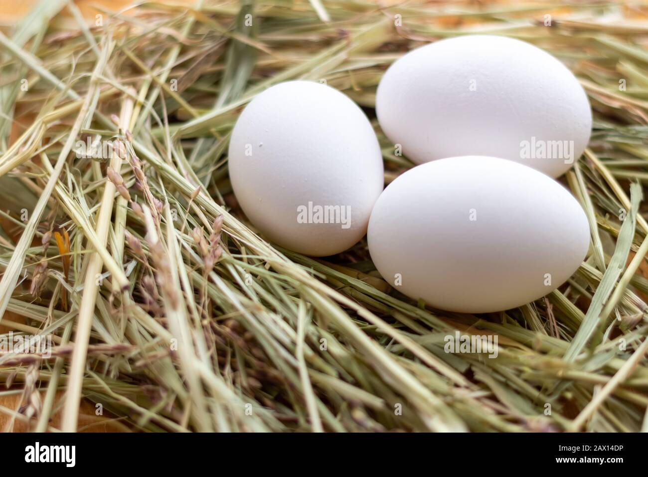 White and brown raw chicken eggs lie in a straw nest Stock Photo - Alamy