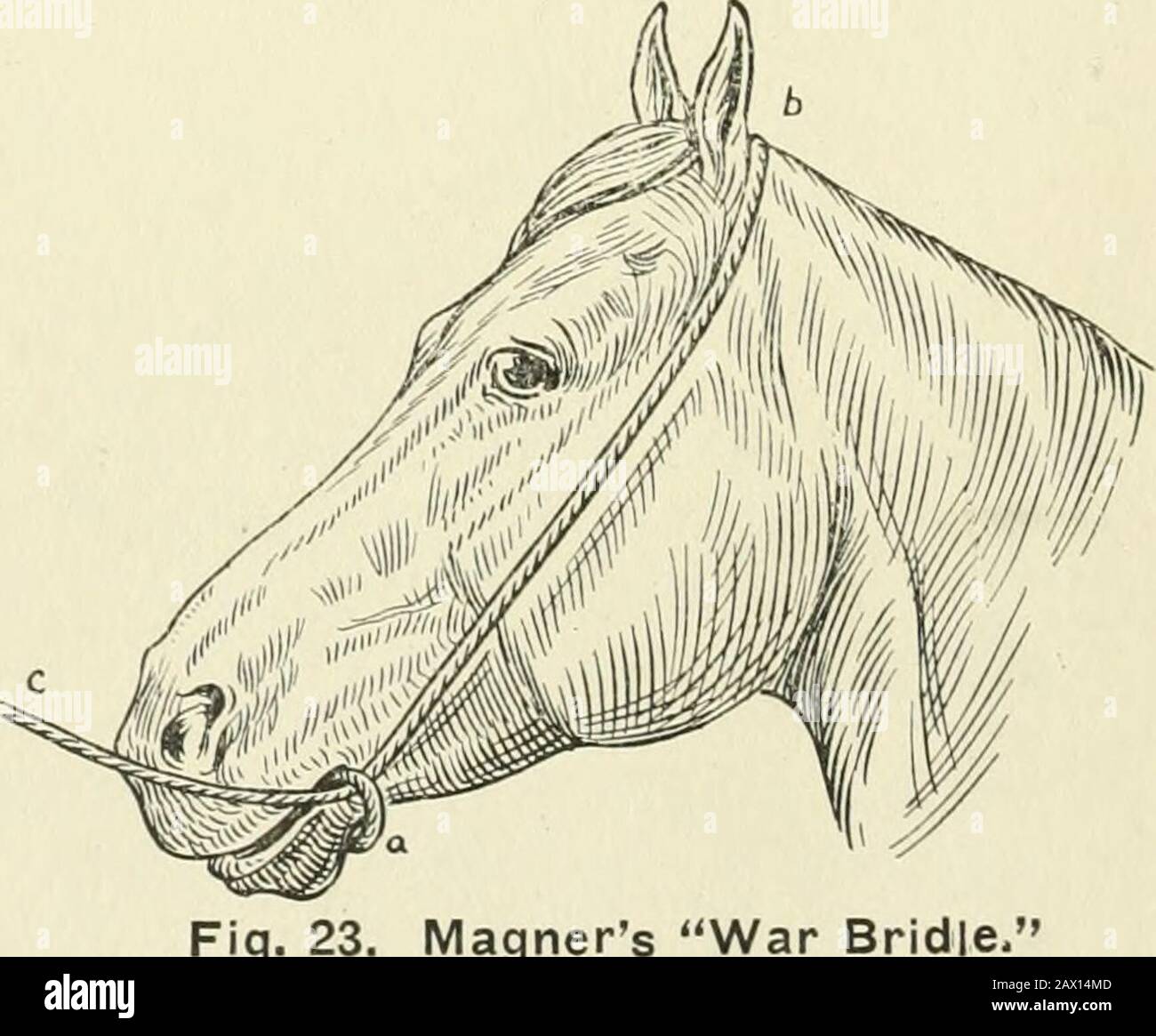 War bridle 2024