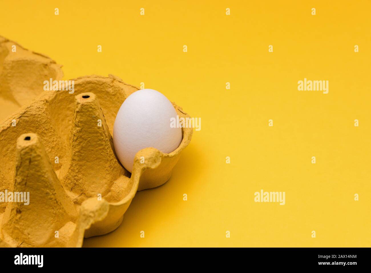 one egg inside of a six pack cardboard on yellow background. concept designs Stock Photo