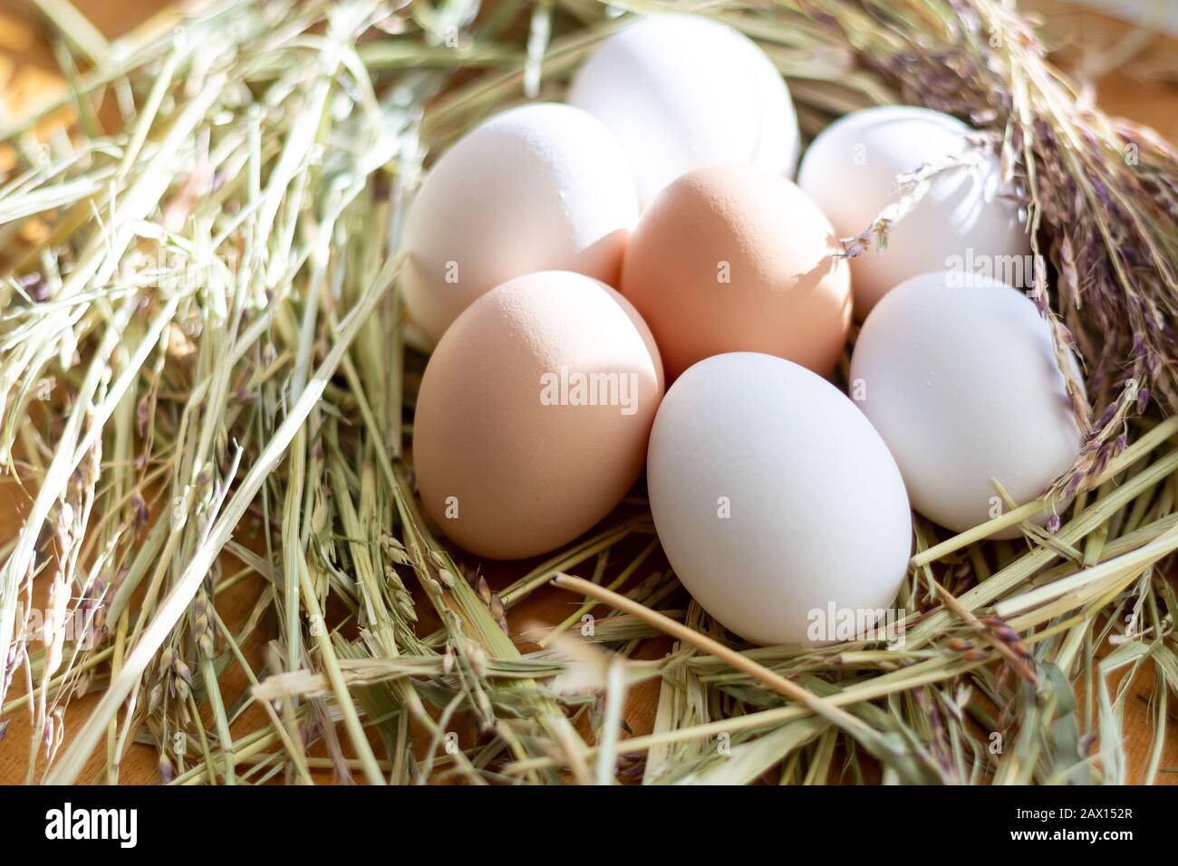 White and brown raw chicken eggs lie in a straw nest Stock Photo - Alamy