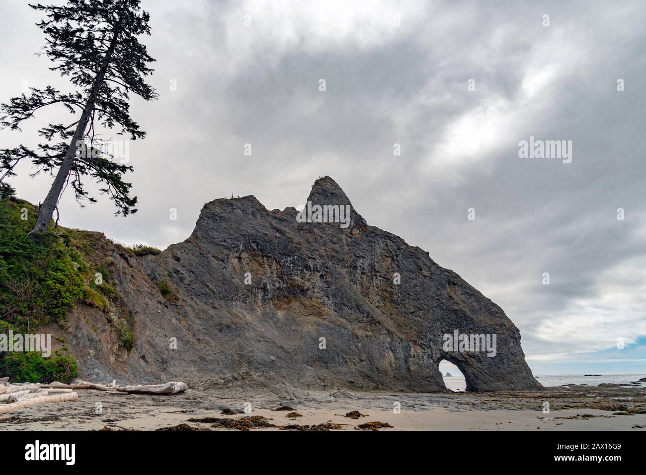 Sleeping giant rock formation on the coast with large pine tree Stock