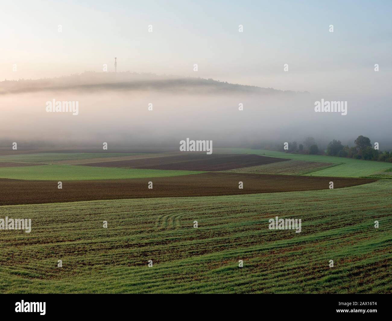 Felder und Morgennebel im Altmühltal bei Eichstätt, Bayern, Deutschland | Fields and morning fog in Altmuehl valley near Eichstaett, Bavaria, Germany Stock Photo