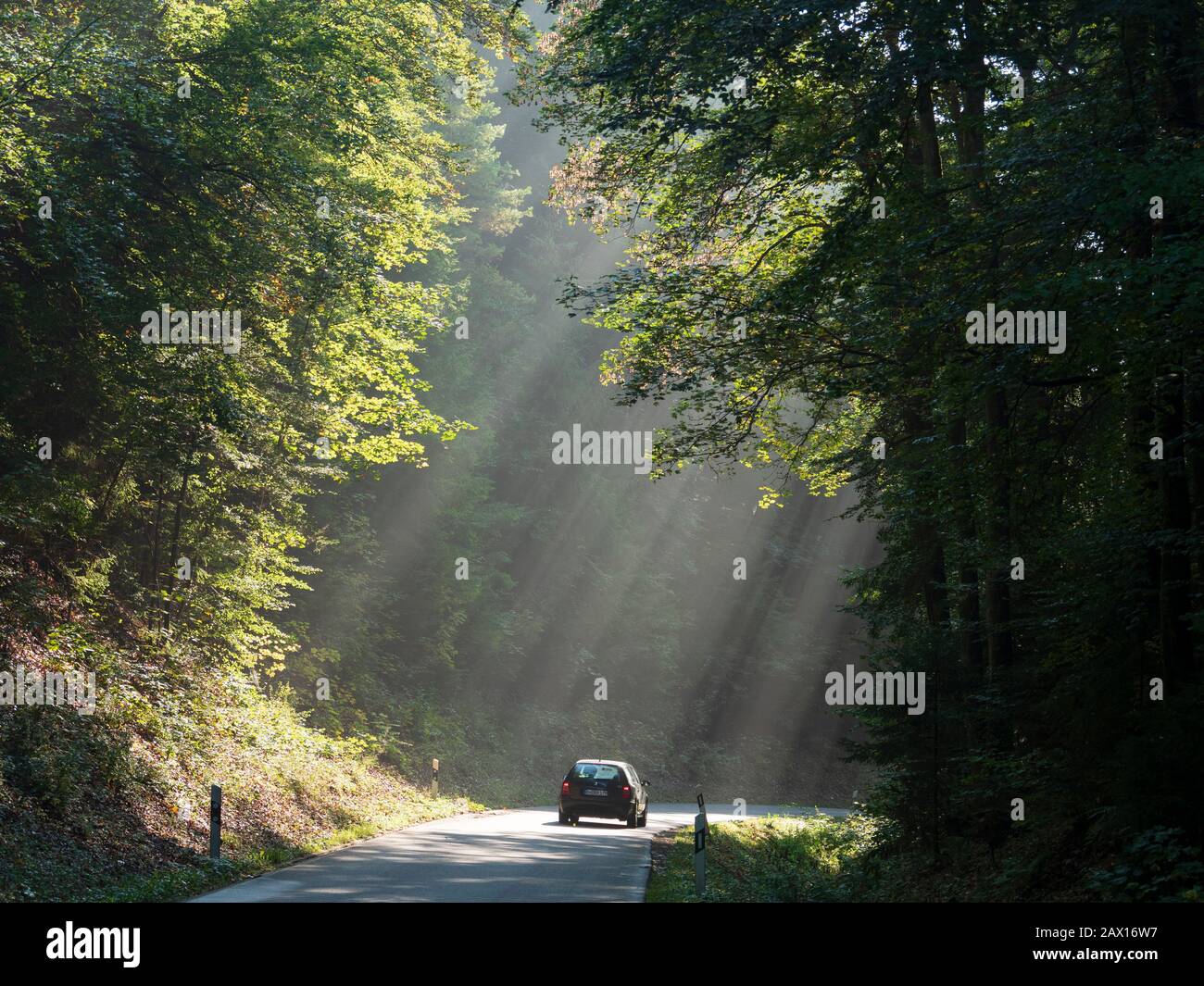Sonnenstrahlen, Straße im Wald, unteres Altmühltal, Bayern, Deutschland | sunbeams on road in forest, Altmuehl valley, Altmuehltal, Bavaria, Germany Stock Photo