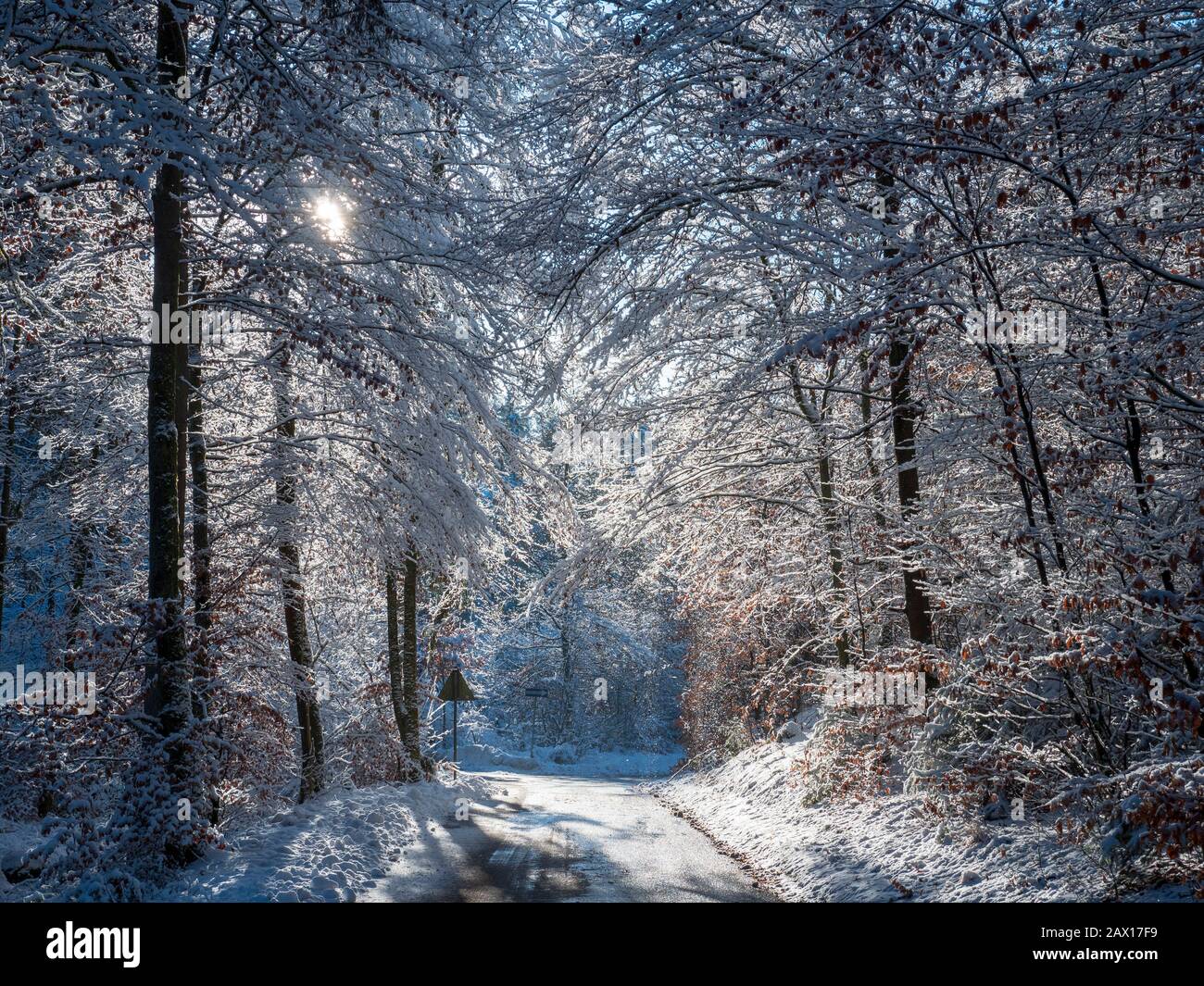 Wald, Winter, Schnee im Altmühltal bei Arnsberg, Bayern, Deutschland | forest, Altmuehltal, winter, snow, Bavaria, Germany Stock Photo