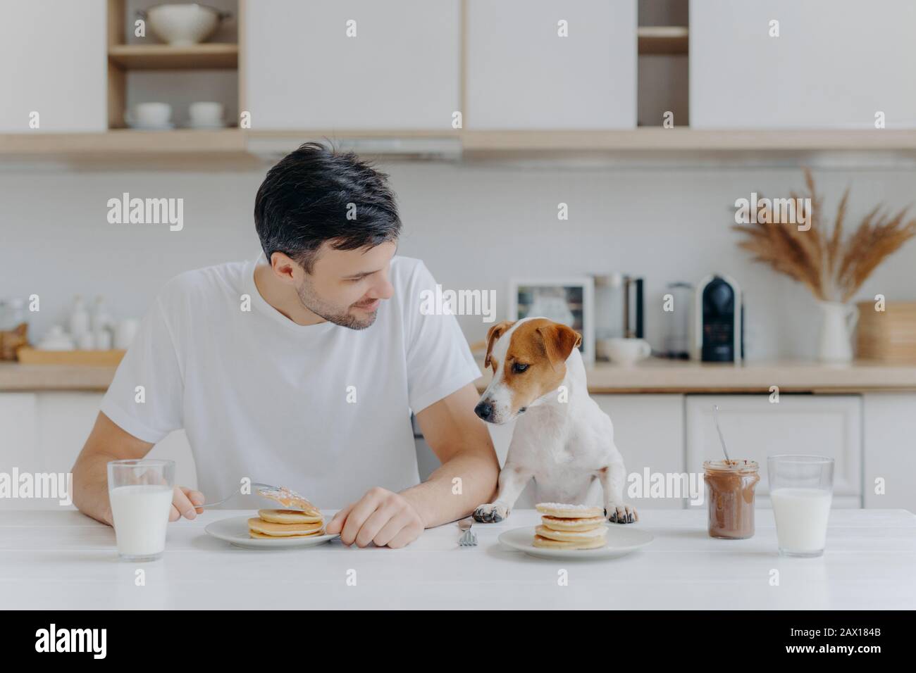 Image of brunet unshaven European man spends free time together with pedigree dog, eat pancakes in kitchen, enjoys sweet dessert, dressed casually. Br Stock Photo