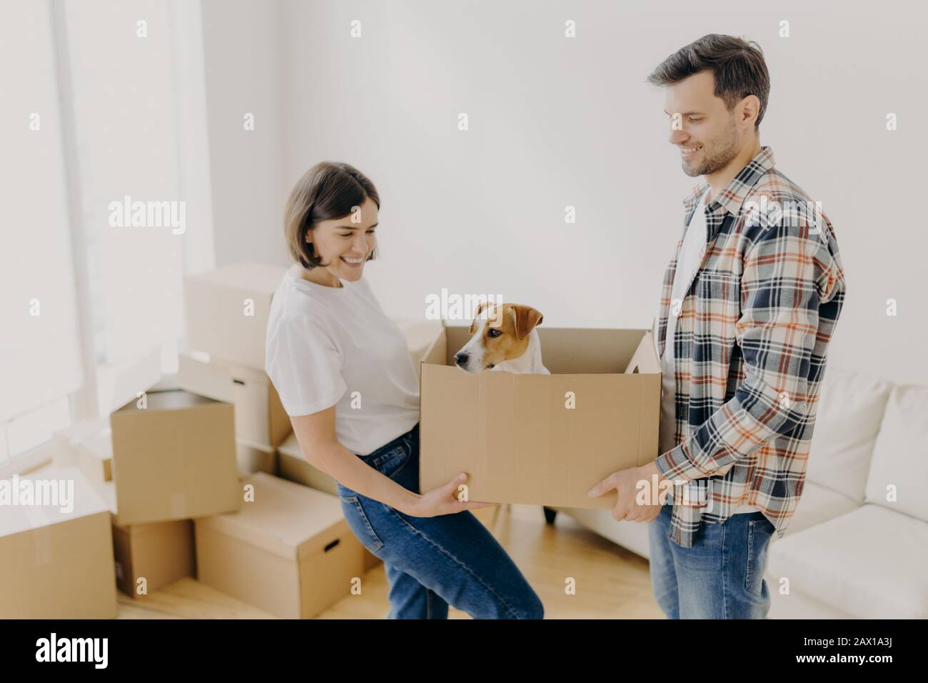 Indoor shot of positive female and male carry carton box with favourite pet, relocate in other place of living, busy with unpacking personal belonging Stock Photo