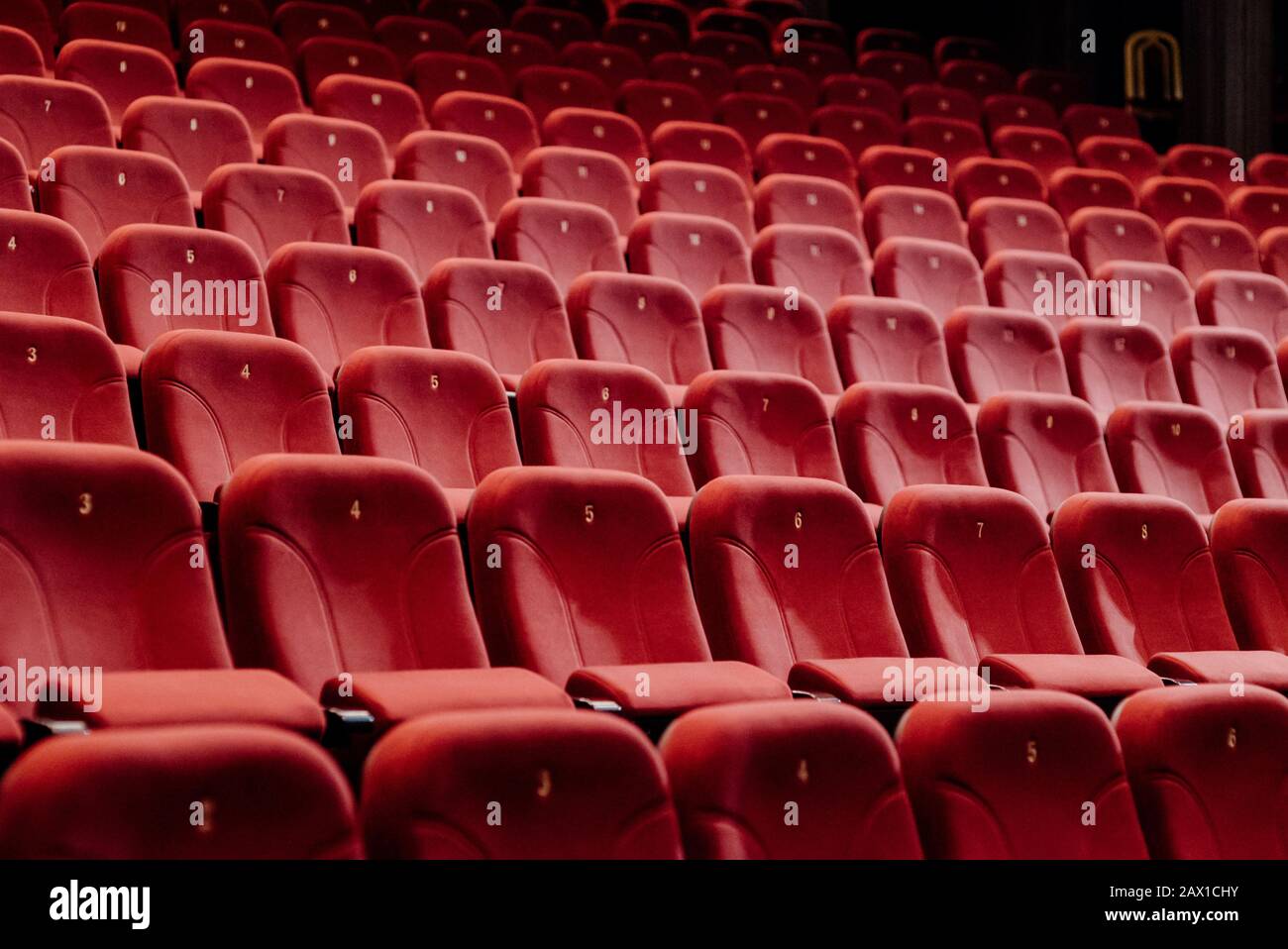 stacy stewart theater seating