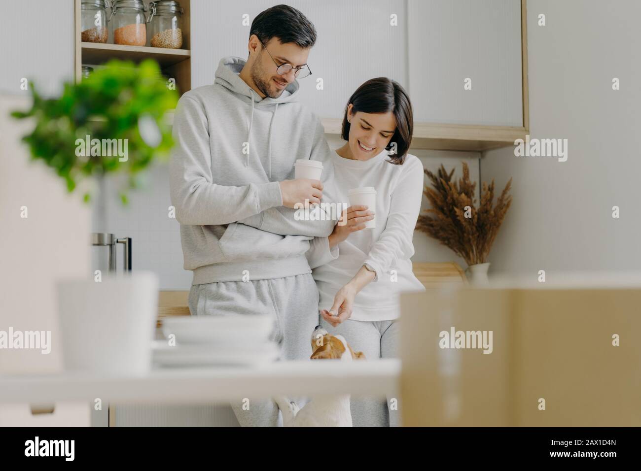 Horizontal view of happy young woman and man play with dog, drink takeaway coffee, stand against kitchen interior, unpack boxes with personal stuff, w Stock Photo