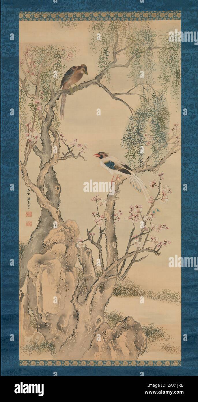 Birds in Willows and Blossoming Peach Tree Stock Photo Alamy
