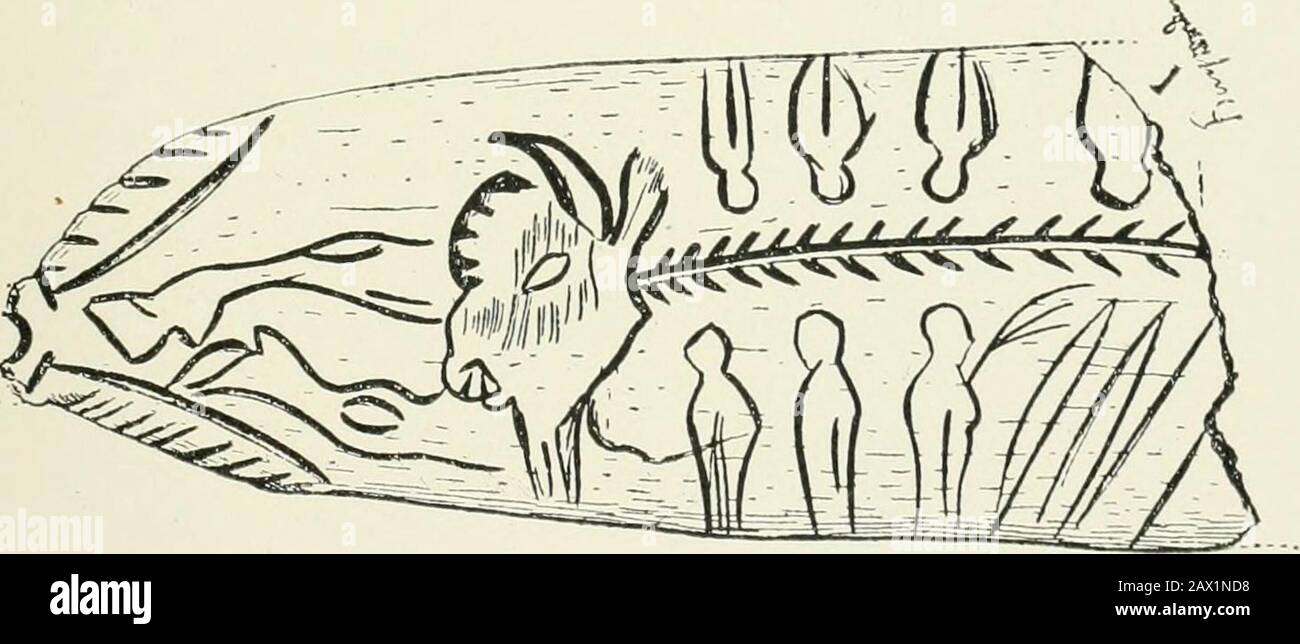 An introduction to the study of prehistoric art . Fig. 73.—Reindeer on schist. S. Marcel. (Natural size.). y/iuiii^ Fig. 74.—Engraving-on bone from Raymouden. Musk ox and ? human figures (From Cav, Font de Ganme.) 58 PREHISTORIC ART picture (Fig. 76). This sketch is also interesting for ex-cellent drawings of fish, apparently salmon. Above the neckof the stag are two quadrilateral designs which M. Piette Stock Photo