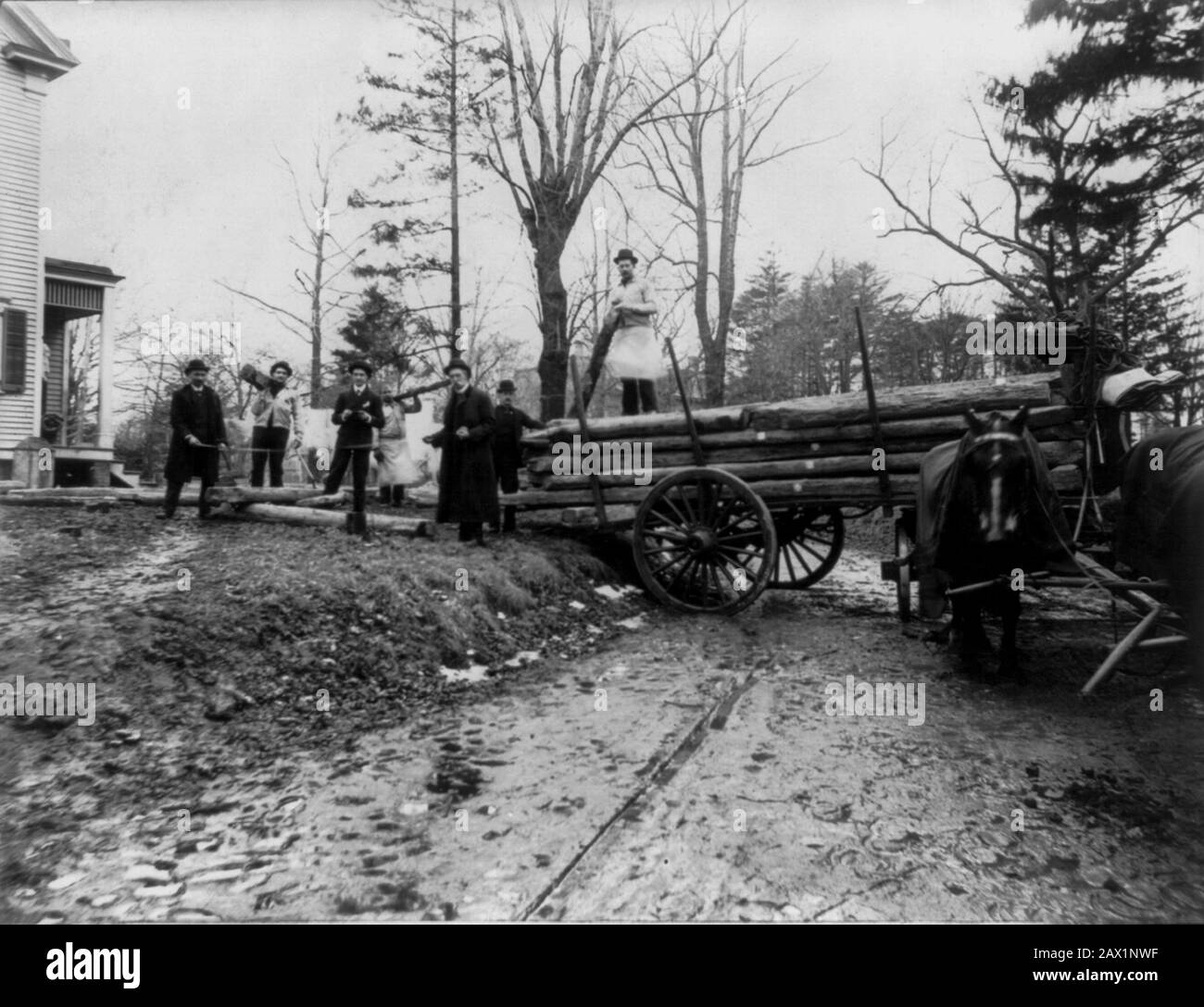 1906 , 21 february , USA :  Men loading logs on a horse-drawn wagon, from the original birthplace of  U.S.A. President ABRAHAM LINCOLN ( 1809 - 1865 ) log cabin at College Point, N.Y., on Feb. 21, 1906, to be re-erected on the Lincoln Farm at Hodgenville, Kentucky, the birthplace of Lincoln -  Presidente della Repubblica - Stati Uniti  - USA  - Abramo - log cabins  - capanna - luogo di nascita - casa natale  ----  Archivio GBB Stock Photo
