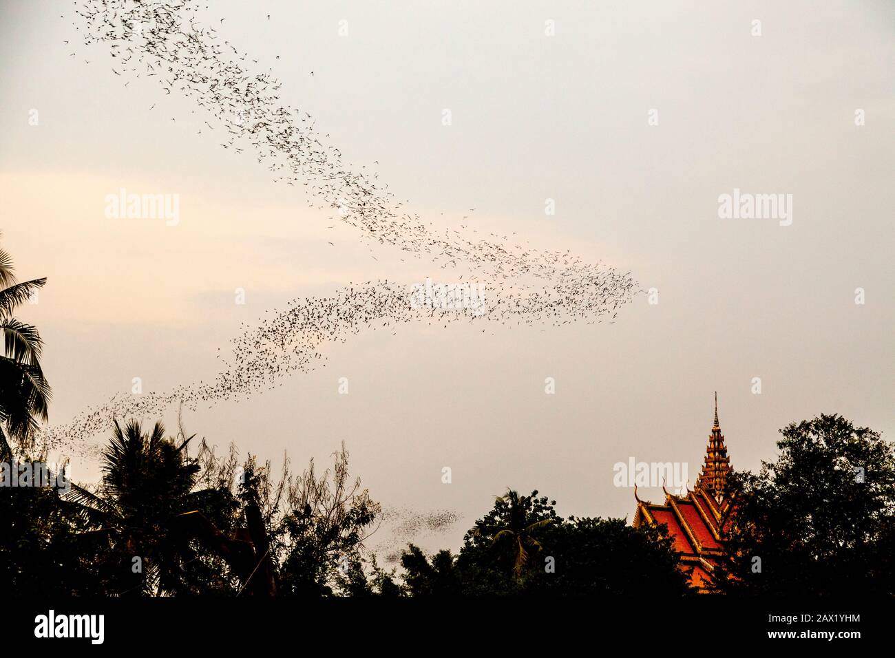 Wat Sampeau Bat Cave, Battambang, Cambodia. Stock Photo