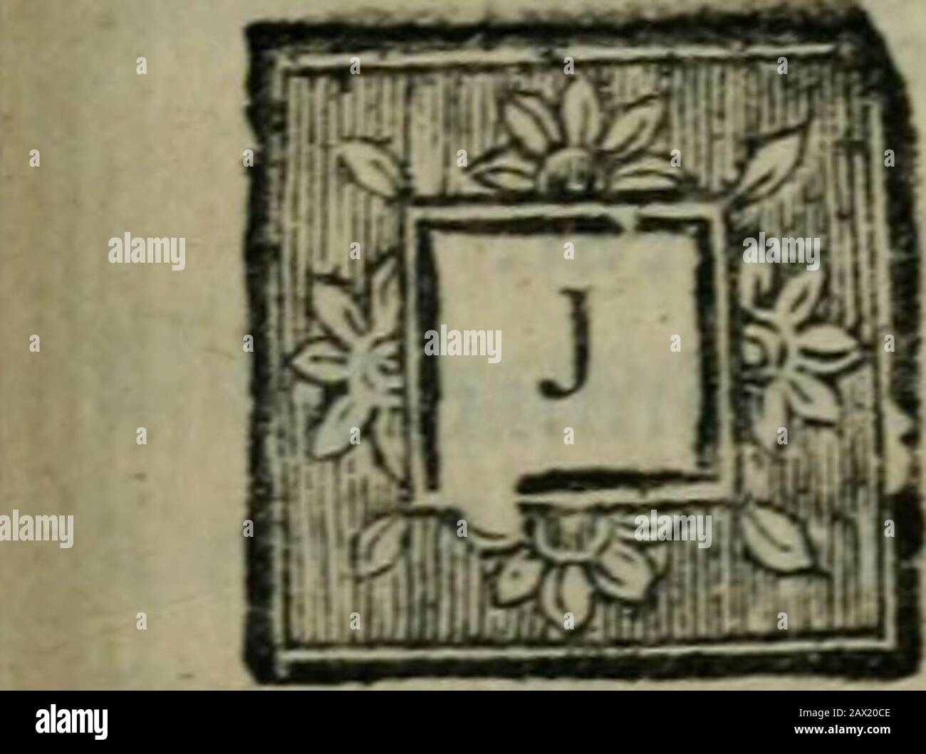 Mechante High Resolution Stock Photography And Images Alamy