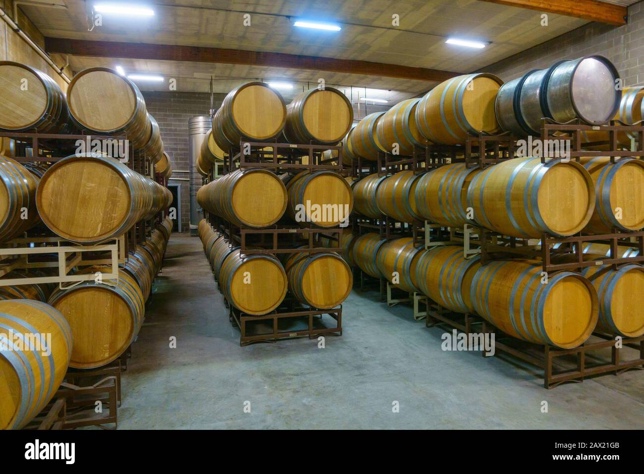 Wine barrels in modern winery Stock Photo Alamy
