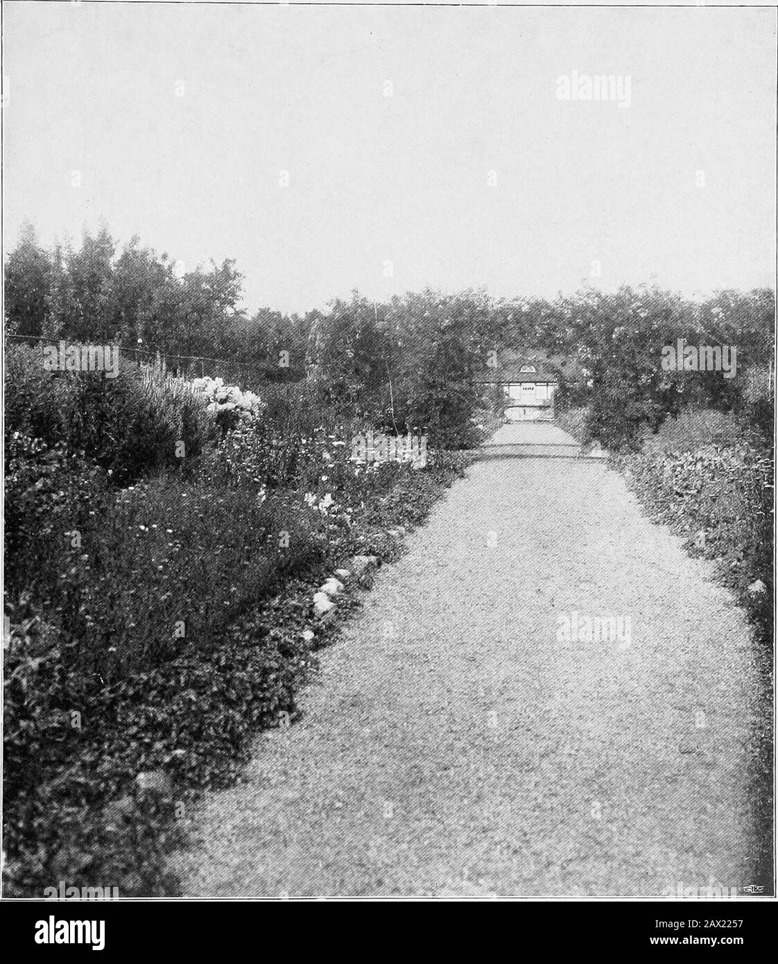The garden that we made . Digitized by IVIicrosoft®. Pluto by Alfred B. Xi/so The Flower Walk, with the Gardeners Cottage in the distance. 21 Digitized by IVIicrosoft® Stock Photo