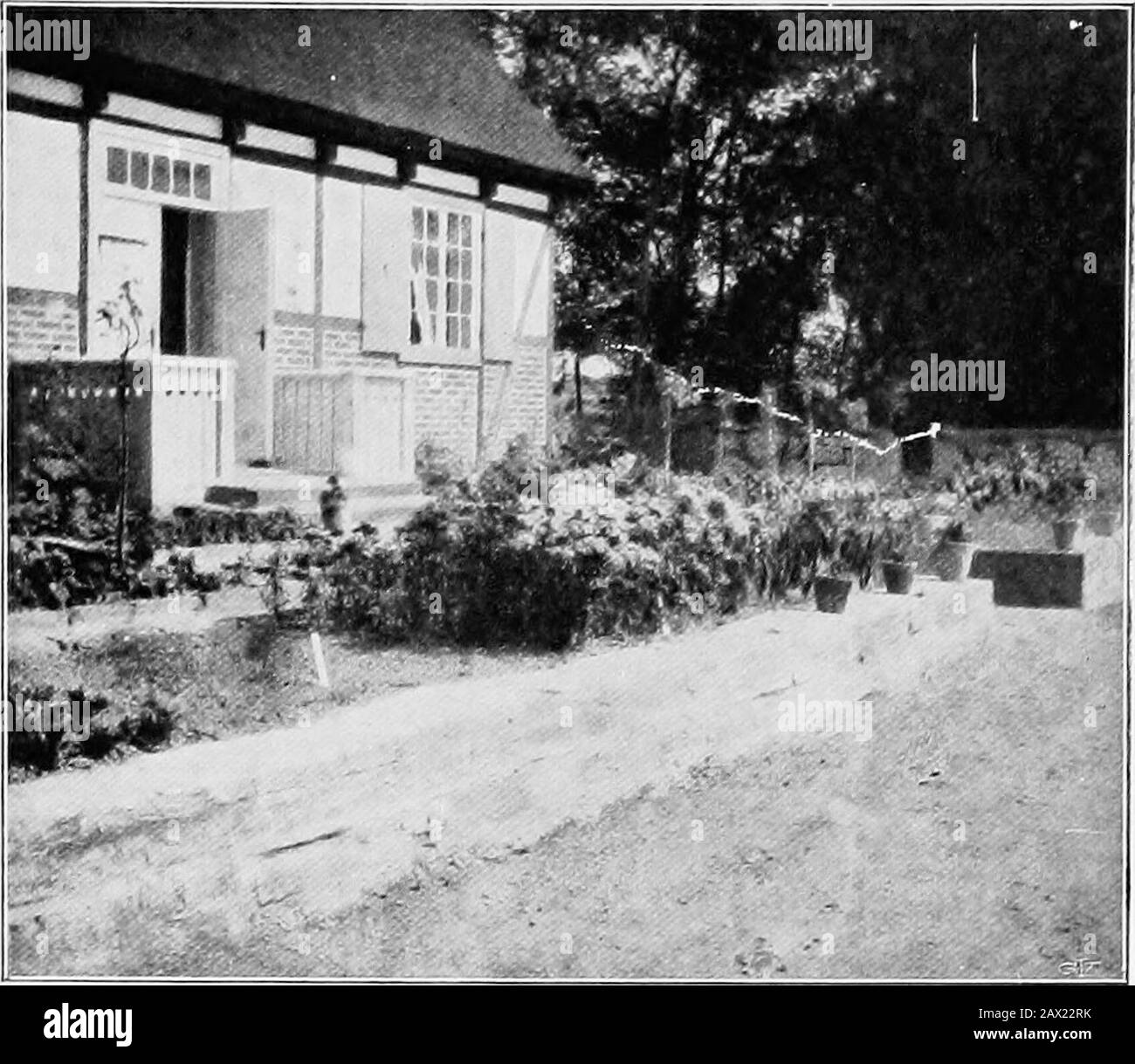 The garden that we made . i8 Digitized by IVIicrosoft® Planning the Pathsand the Flower-Beds Verbena Erinodes inthe Herb Garden.. here covered with roses,amongst which are Anneof Geierstein, Lord Pen-zance, Bar le Due. Thereis never any need of pro-tecting these against therough elements; theygrow fast, the very foliagehas an agreeable scent—in short, they all are highlyto be recommended. InJune they stand in theirglory, and their colouringhas hardly any equal, especially that of Bar le Due,which is of a ravishing sombre pink. Another beautifulclimber is Ruga, with peculiar salmon-pink blooms, Stock Photo