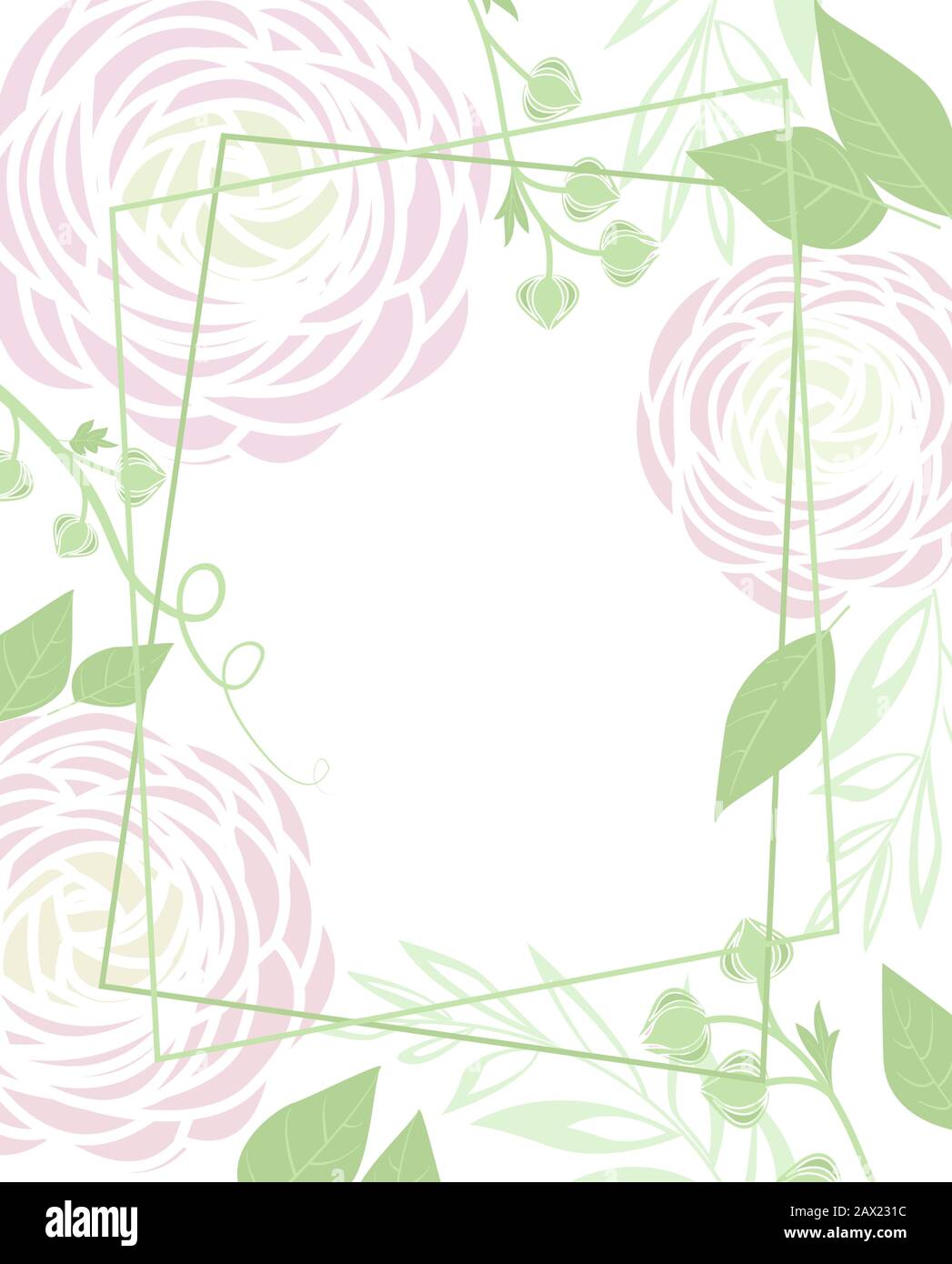 Vector Ranunculus Vector ranunculus flower Stock Vector Image & Art - Alamy