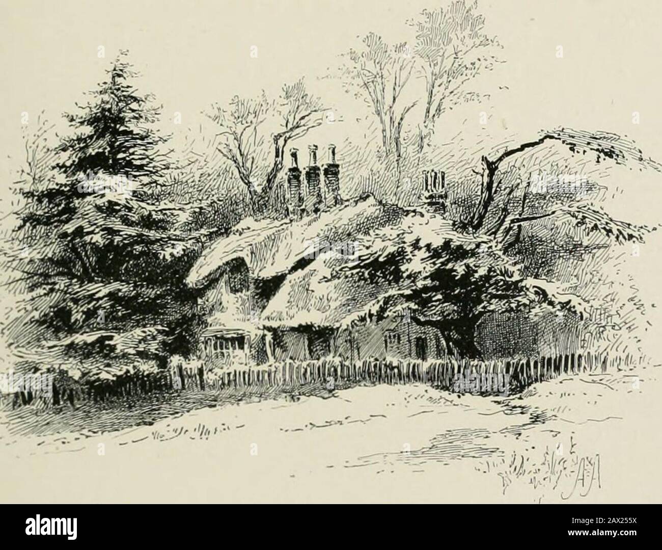 The New Forest And The Isle Of Wightwith Eight Plates And Many Other Illustrations From The Formal Gardens Ofthe Lyndhurst Houses To The Uncovenanted Graces Of The Natural Forest Beyond The