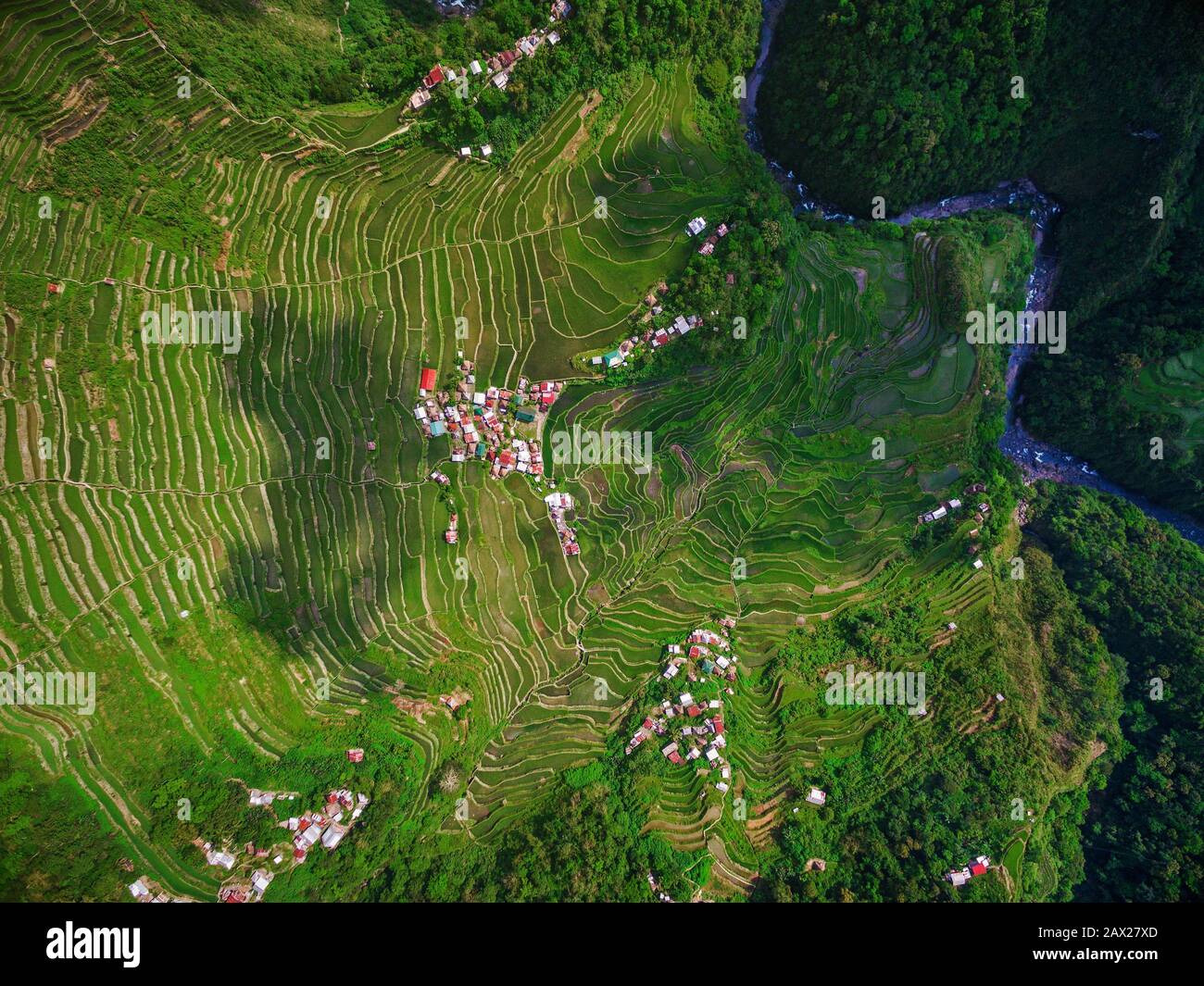 Top down aerial view of Batad Rice Terraces in Ifugao Province, Northern Luzon, Philippines. Stock Photo