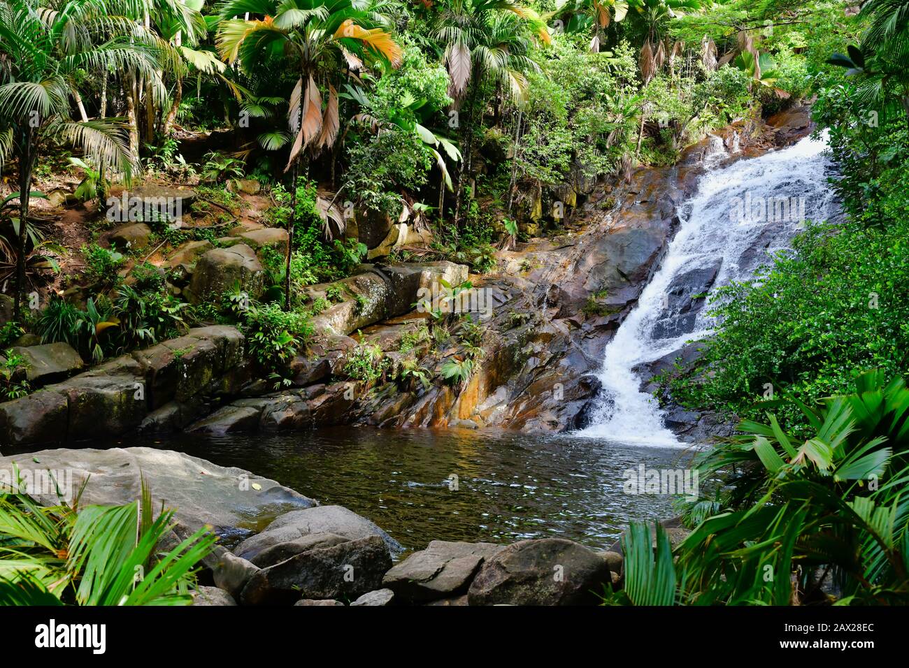 Sauzier waterfall, Mahe Island, Seychelles. Stock Photo