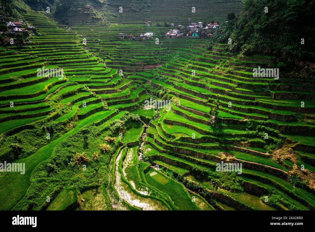 Aerial view of Batad Rice Terraces in Ifugao Province, Luzon Island, Philippines. Stock Photo