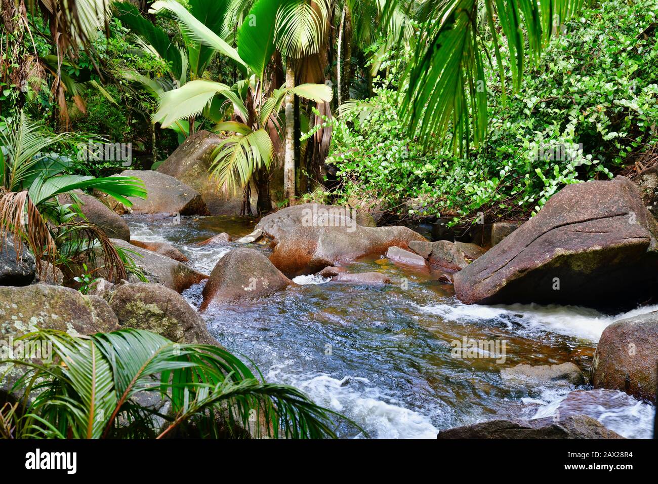 Mountain stream splashing on granite rocks near Sauzier waterfall, Mahe Island, Seychelles. Stock Photo