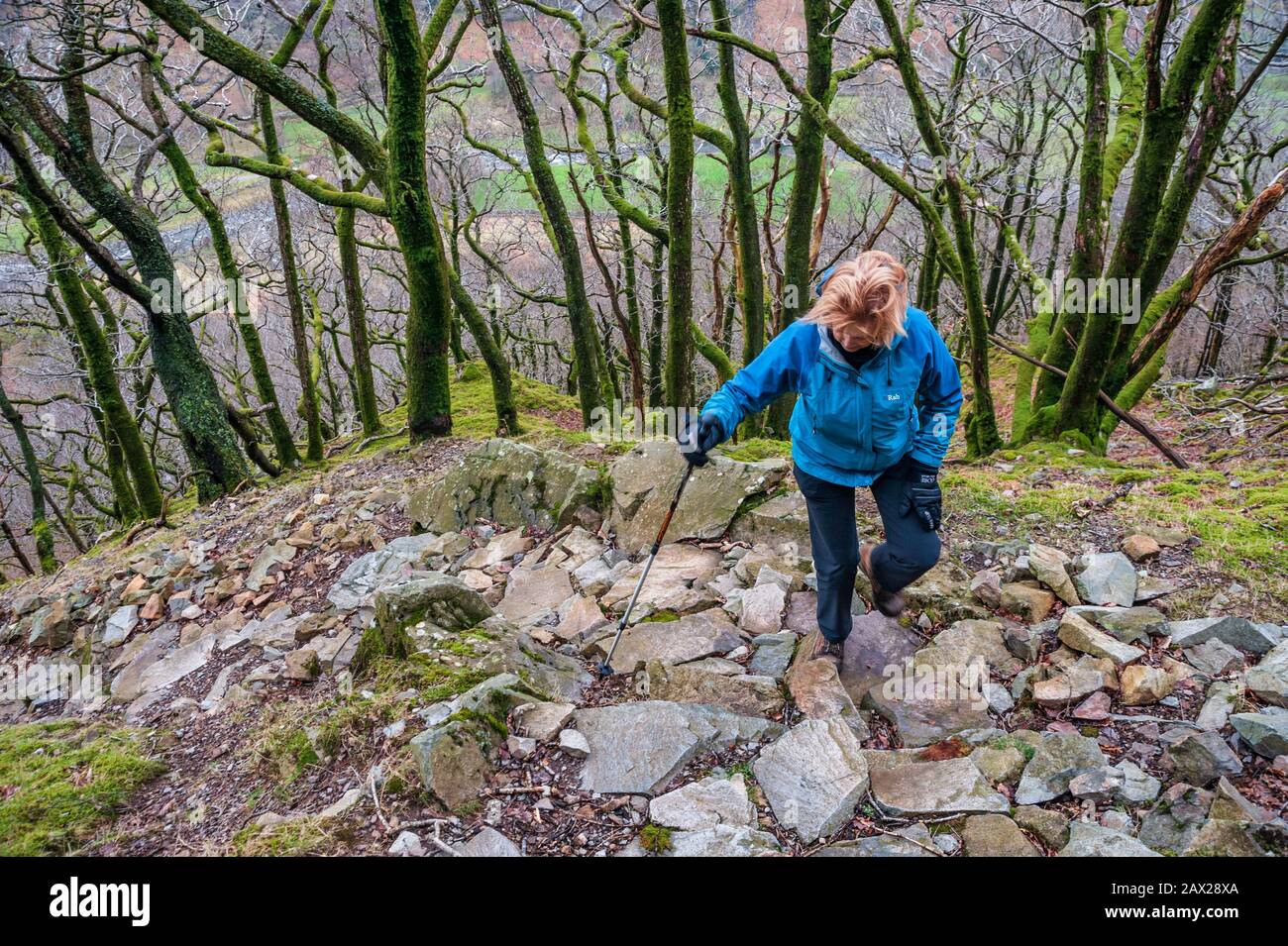 The climb from Stonethwaite on the Watendlath footpath Stock Photo