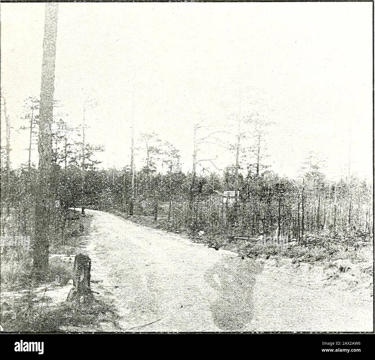 Page 2 Pui O High Resolution Stock Photography And Images Alamy