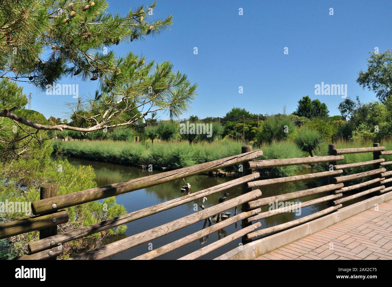 Wooden bridge in beautiful hi-res stock photography and images - Alamy