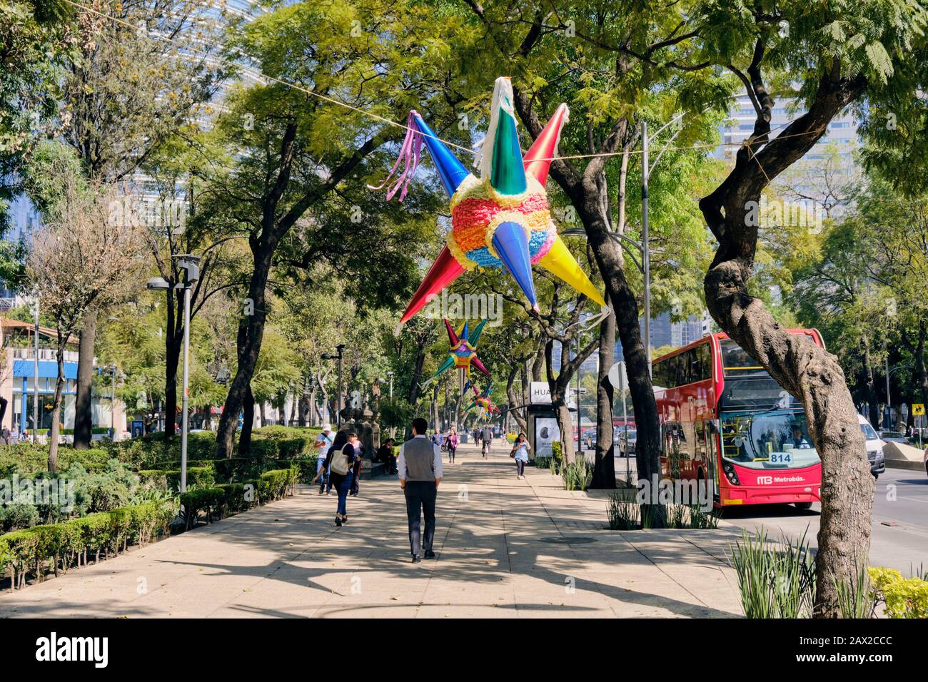 Tree lined sidewalk with pedestrians and hanging star pinata on Avenida de la Reforma in Mexico City Stock Photo