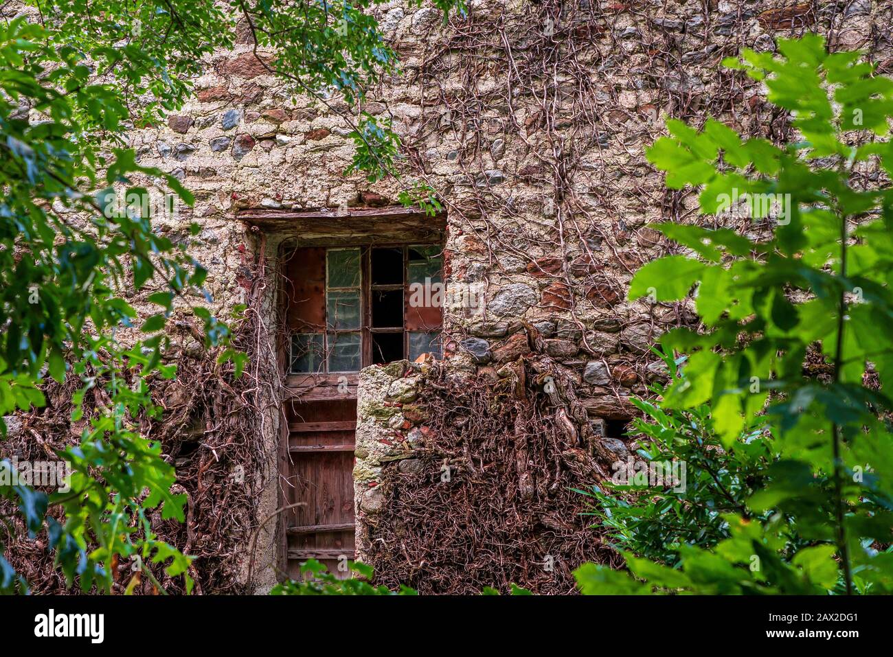 Old wooden doors of an old castle and a stone wall in South Tyrol Stock ...