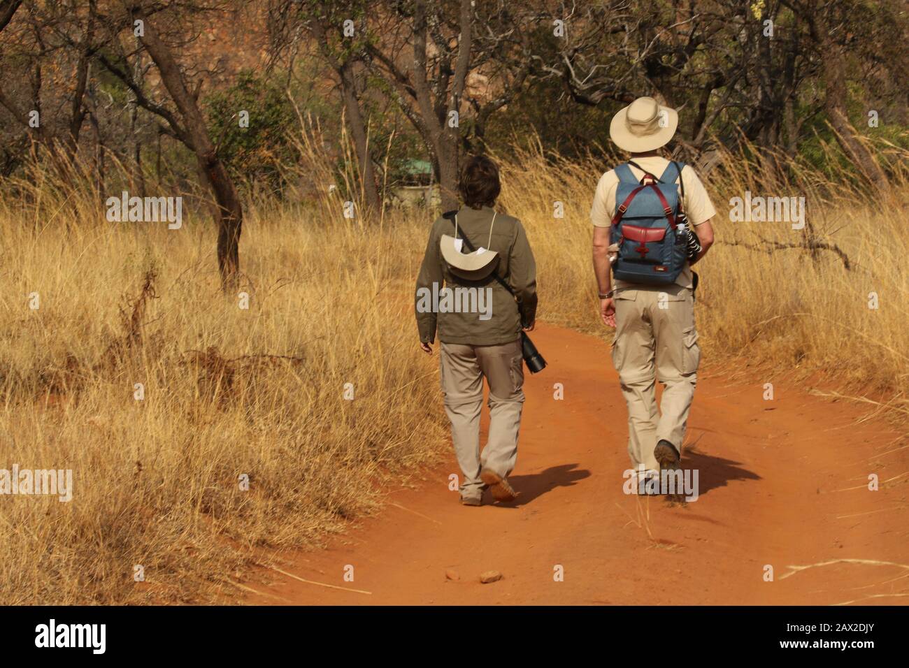 Walking safari africa ranger hi-res stock photography and images - Alamy