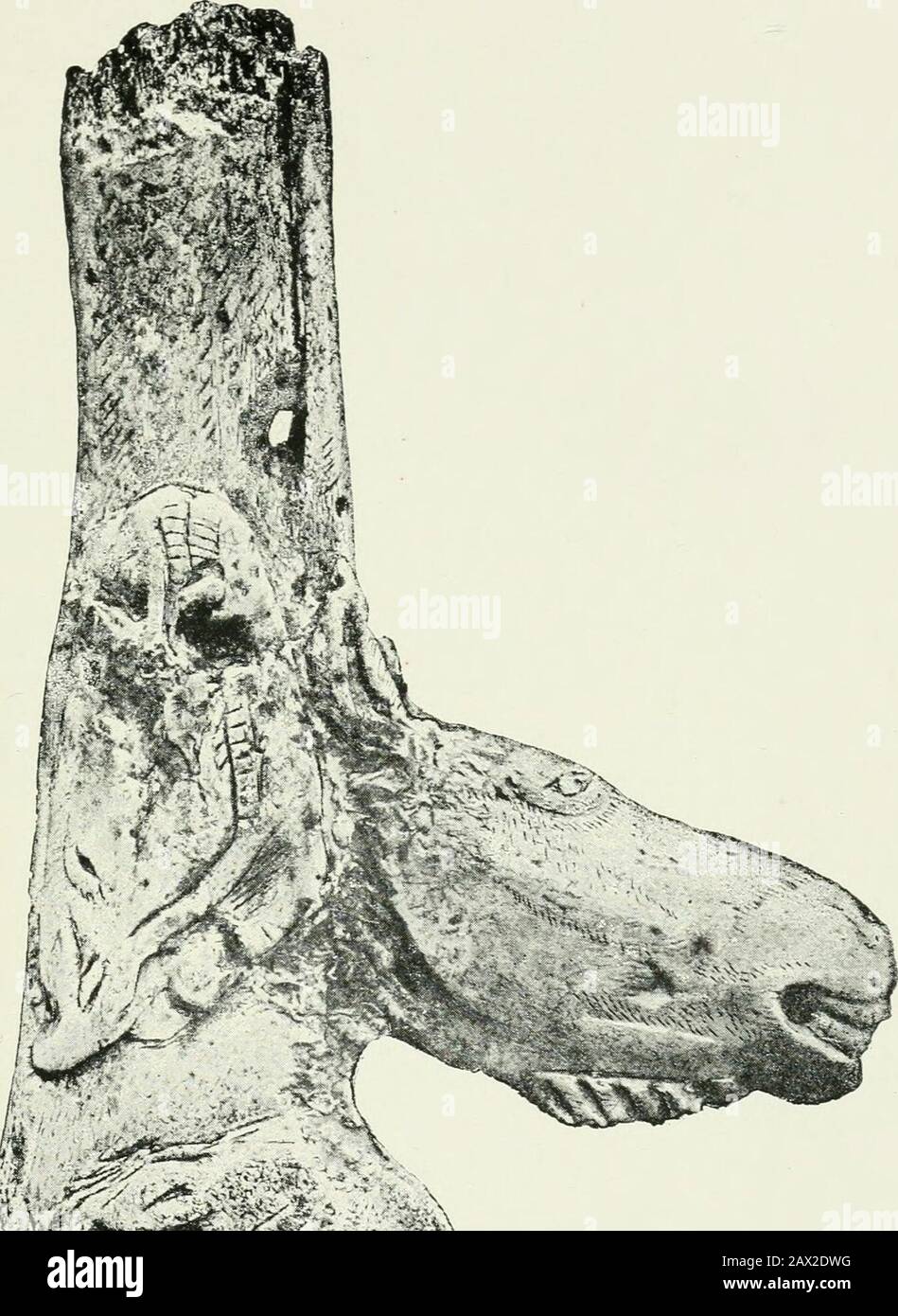 An introduction to the study of prehistoric art . FiG. 28.—Harpoons of reindeer horn, (i) Mas dAzil.(2) Bruniquel. (3, 4, 5) La Madeleine. (6, 7) Lorthet. 1 Piette, op.cit.. Plates X, XVHI, XLUI, LXI, LXXVIII, XCII. PLATE II. Stock Photo