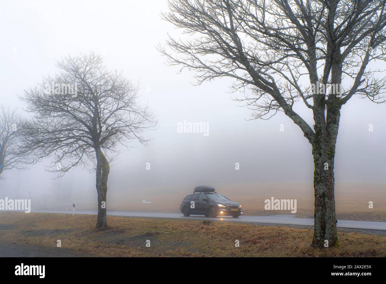 Country road, dense fog, visibility below 50 meters, winter, near Altastenberg, Winterberg, Sauerland, Germany, Stock Photo