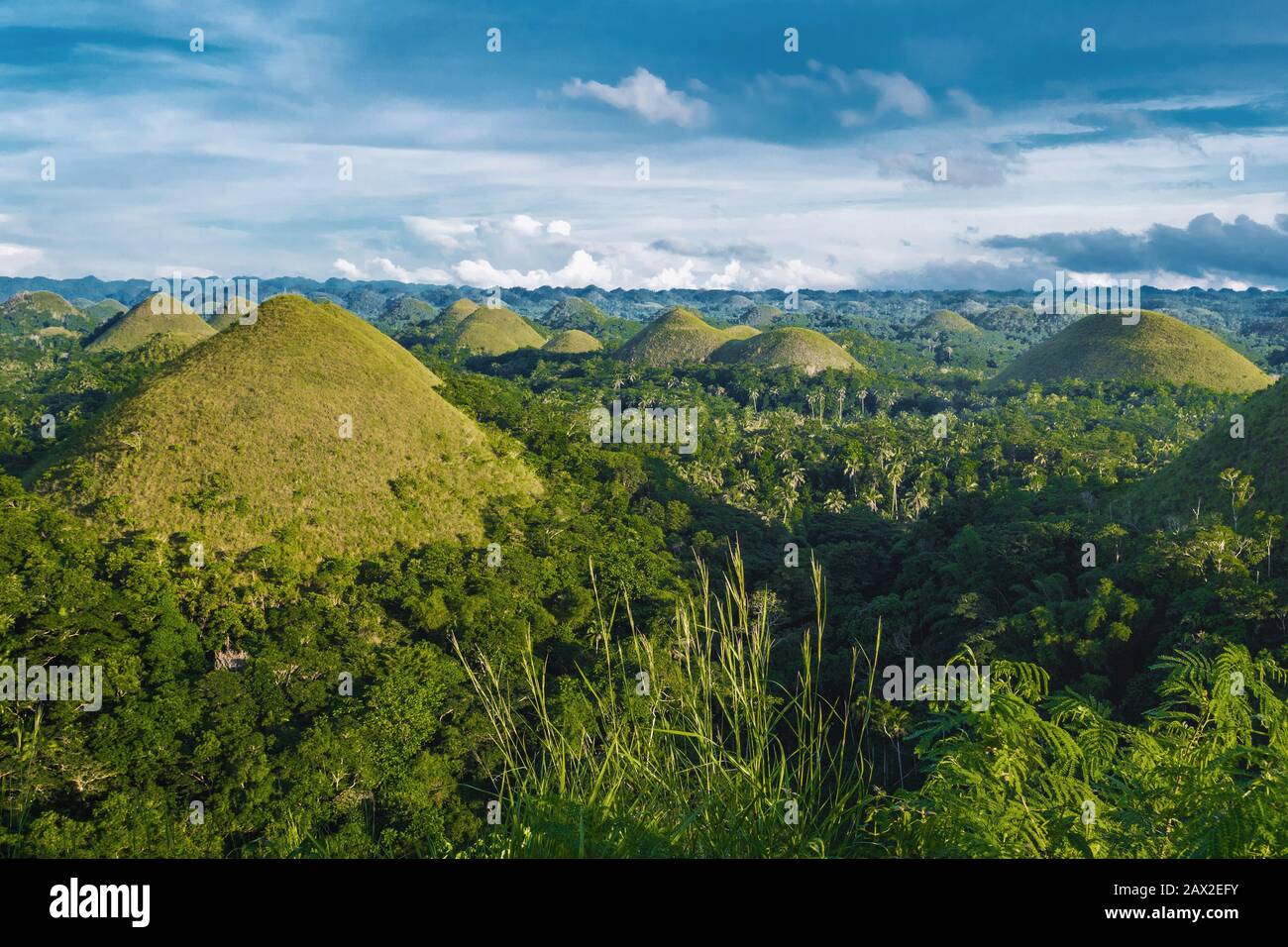 Chocolate Hills in Bohol, Philippines. Stock Photo