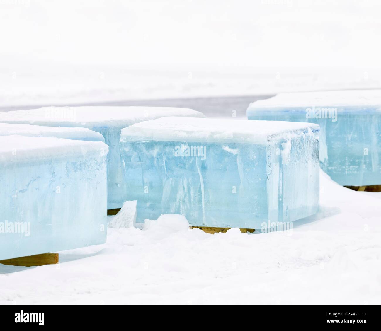 Harvesting Freshwater ice blocks, Manitoba, Canada. Stock Photo