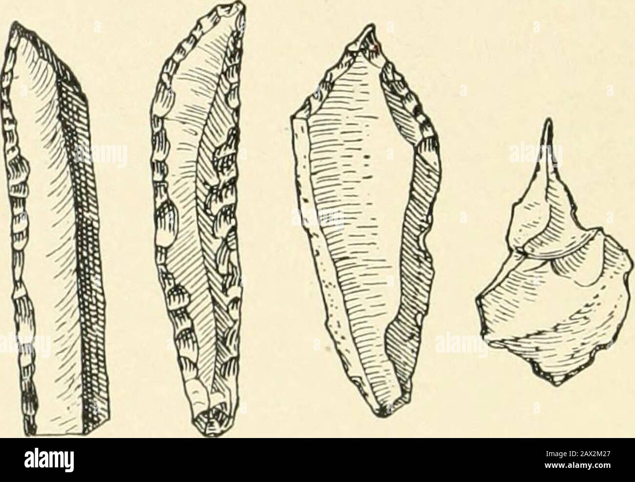 An introduction to the study of prehistoric art . ?^3 4 5 Fig. 10.—Aurignacian implements, (i) Scraper. (2 and 3)Retouched flakes. (4 and 5) Borers. Fig. g.—Aurignacianbone point withcleft base. Stock Photo