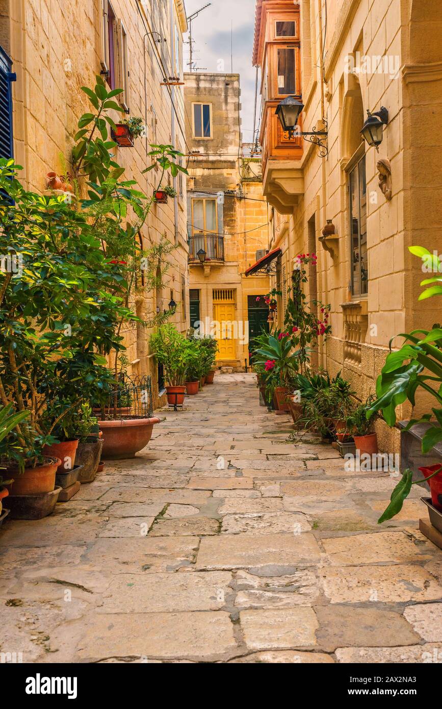 Valletta, Malta. Old medieval empty street with yellow buildings and flower pots in Singlea. Vertical orientation Stock Photo