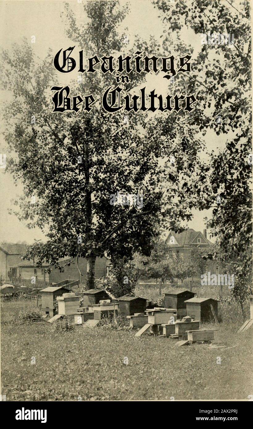 Gleanings in bee culture . 1915 EDITION Before Winter Sets in And while winter shuts us in is a good time to learn all about that Ford car—especially do you want to know how to put it away in good shape for the winter months and overhaul it. The Model T Ford Car )) i Tells you all about it. Written especially for Ford drivers and ownersby that recognized authority on gasoline power, Victor W. Page, andwritten so that any man or woman can understand it. More than 100illustrations, 300 pages, handsomely printed and bound. Worth manytimes its cost to any Ford owner. Price $1.00 postpaid, or Glean Stock Photo