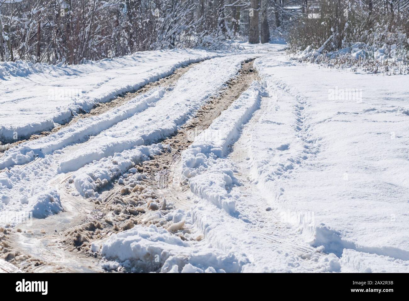 traces of a car and human footprints in the snow Stock Photo - Alamy